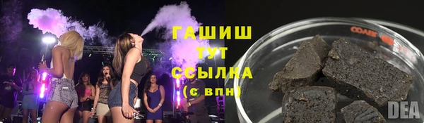 амф Тайга