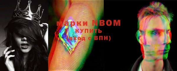 амф Тайга