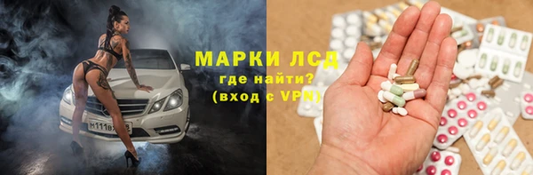 амф Тайга