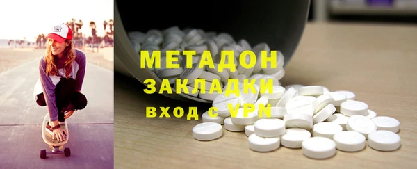 амф Тайга