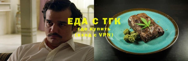 амф Тайга