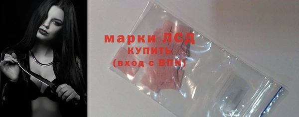 амф Тайга