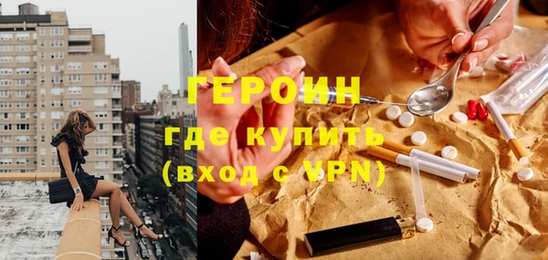 амф Тайга