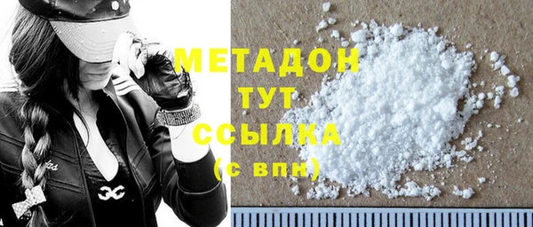 амф Тайга