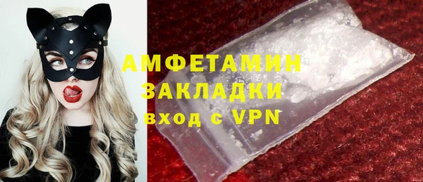 амф Тайга