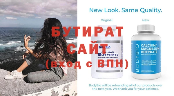 амф Тайга