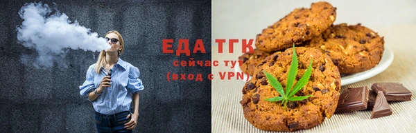 амф Тайга