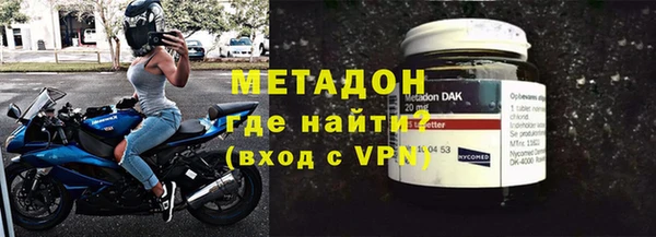 амф Тайга