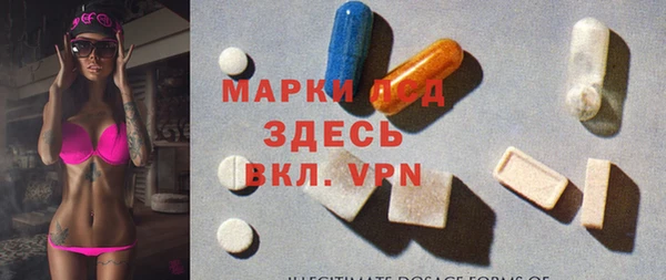 амф Тайга
