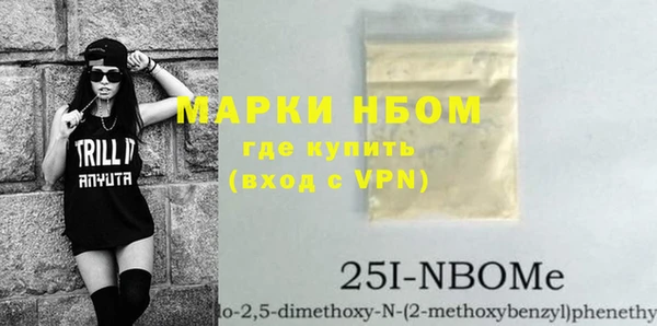 амф Тайга