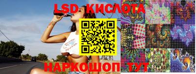 шишки Изобильный