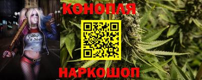 шишки Изобильный