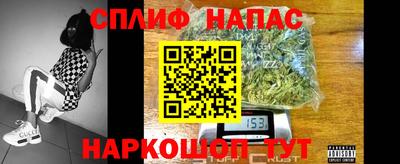 шишки Изобильный