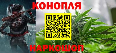 шишки Изобильный