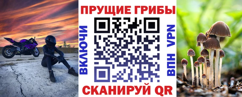 Галлюциногенные грибы Magic Shrooms  Ростов-на-Дону 