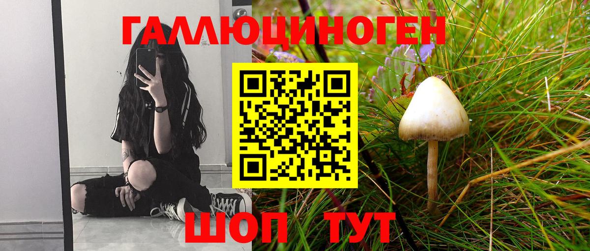 Псилоцибиновые грибы Psilocybine cubensis Ростов-на-Дону