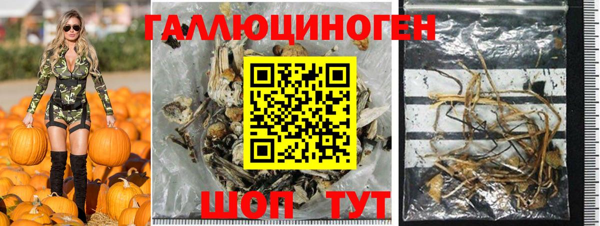 купить наркоту  Вход с VPN  Ростов-на-Дону  Галлюциногенные грибы Psilocybine cubensis 